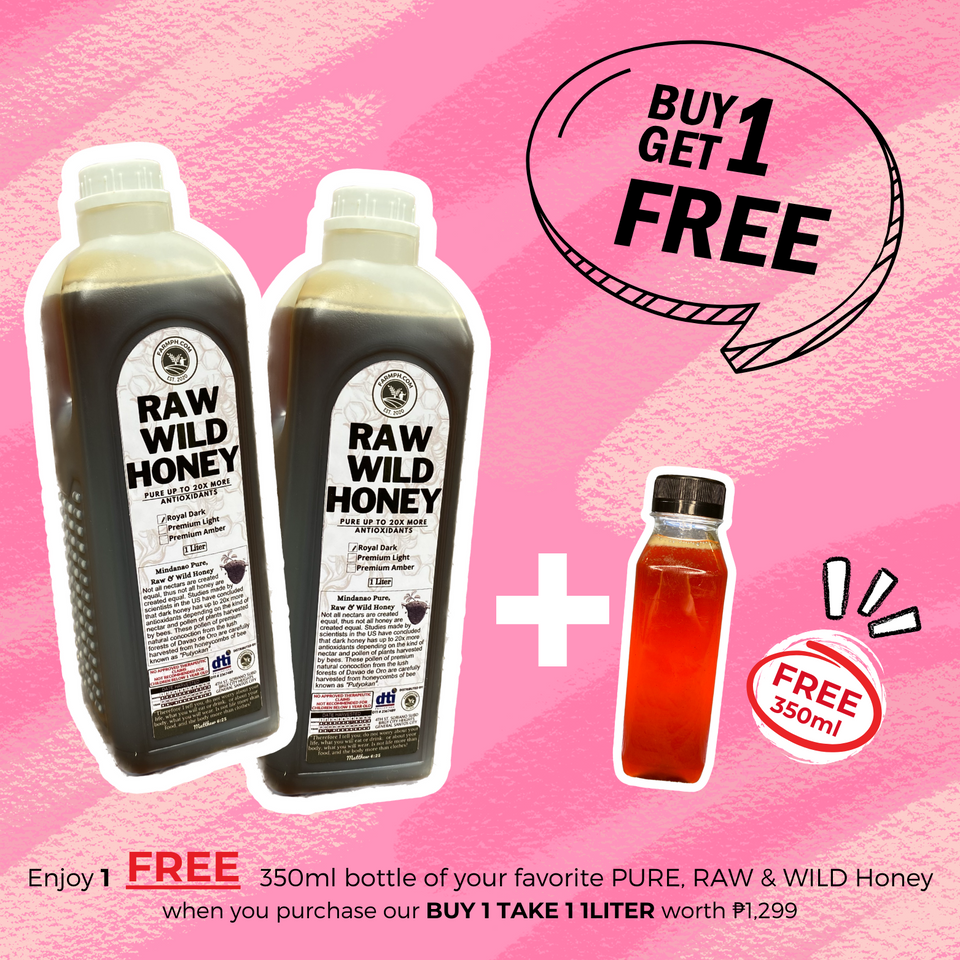 FEBRUARY FLASH PROMO: FREE 380mL Pure Wild Honey